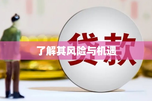 南湖了解其风险与机遇