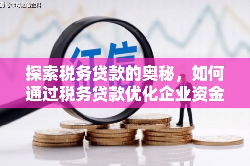 南湖探索税务贷款的奥秘，如何通过税务贷款优化企业资金流
