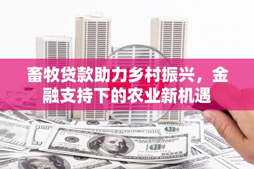 南湖畜牧贷款助力乡村振兴，金融支持下的农业新机遇