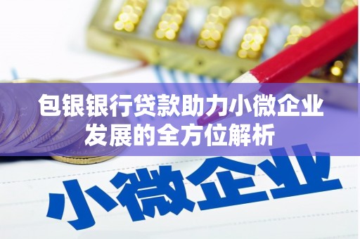 南湖包银银行贷款助力小微企业发展的全方位解析