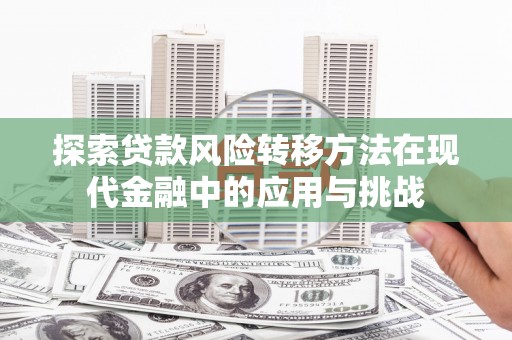 南湖探索贷款风险转移方法在现代金融中的应用与挑战