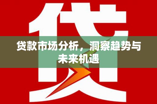 南湖贷款市场分析，洞察趋势与未来机遇