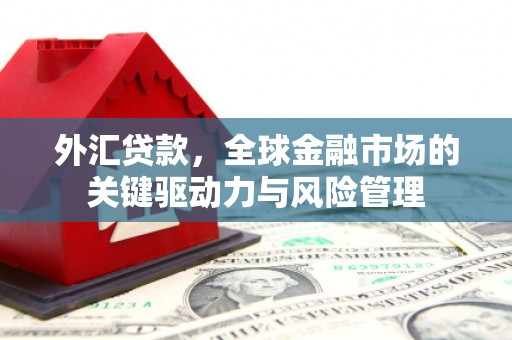 南湖外汇贷款，全球金融市场的关键驱动力与风险管理