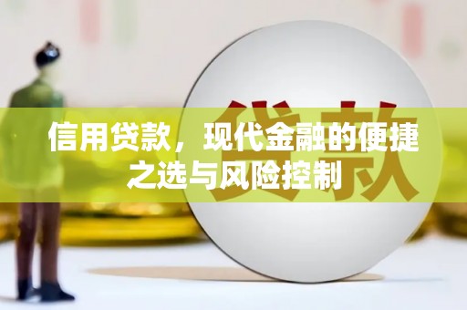 南湖信用贷款，现代金融的便捷之选与风险控制