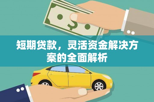 南湖短期贷款，灵活资金解决方案的全面解析