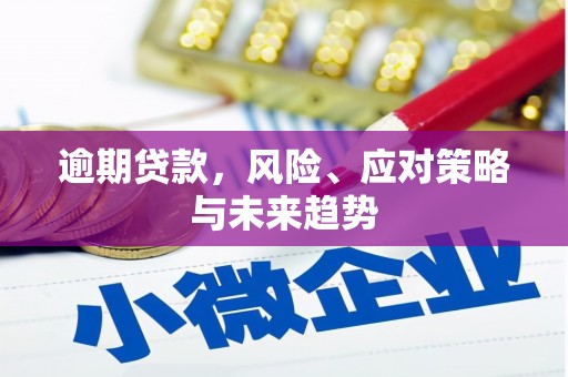 南湖逾期贷款，风险、应对策略与未来趋势