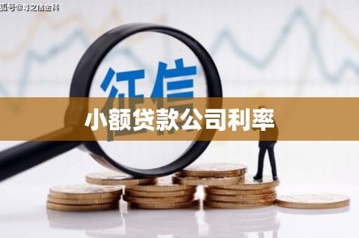南湖小额贷款公司利率