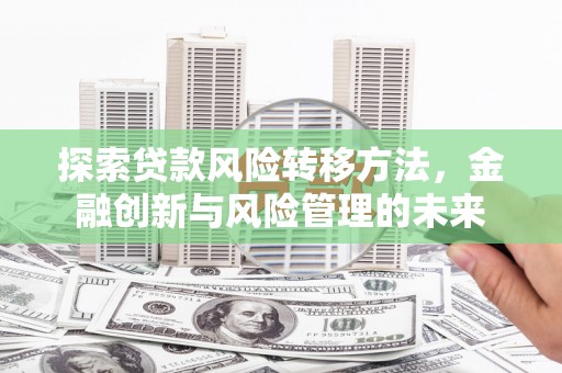 南湖探索贷款风险转移方法，金融创新与风险管理的未来