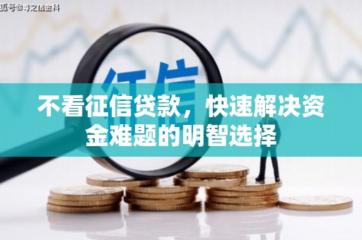 南湖不看征信贷款，快速解决资金难题的明智选择
