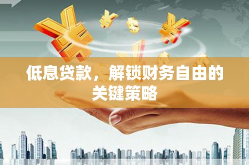 南湖低息贷款，解锁财务自由的关键策略