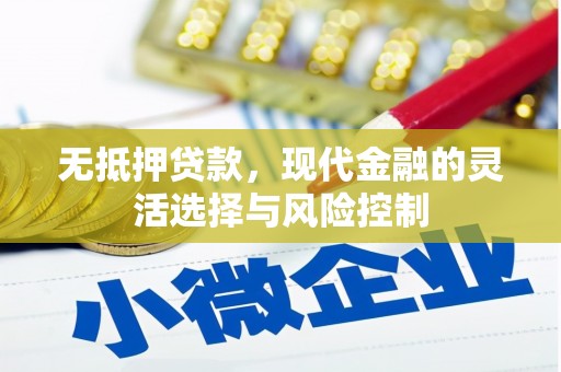 南湖无抵押贷款，现代金融的灵活选择与风险控制