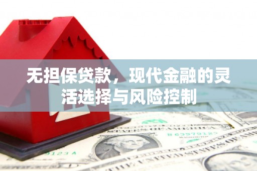 南湖无担保贷款，现代金融的灵活选择与风险控制