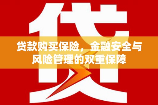 南湖贷款购买保险，金融安全与风险管理的双重保障