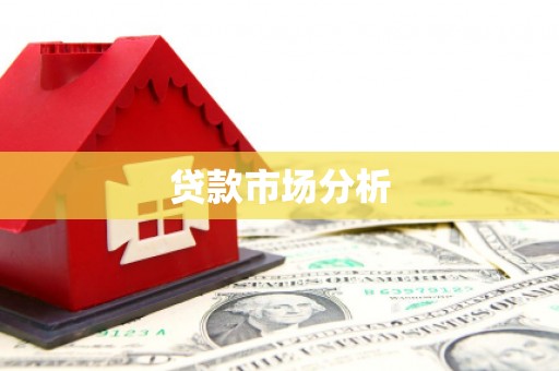 南湖贷款市场分析