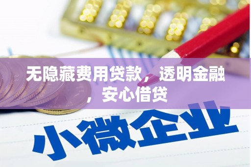 南湖无隐藏费用贷款，透明金融，安心借贷