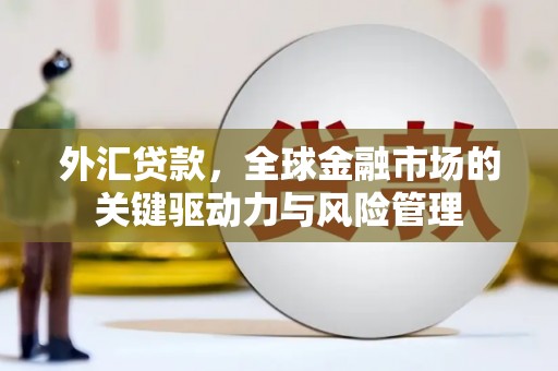 南湖外汇贷款，全球金融市场的关键驱动力与风险管理