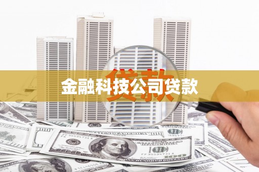 南湖金融科技公司贷款