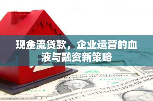 南湖现金流贷款，企业运营的血液与融资新策略