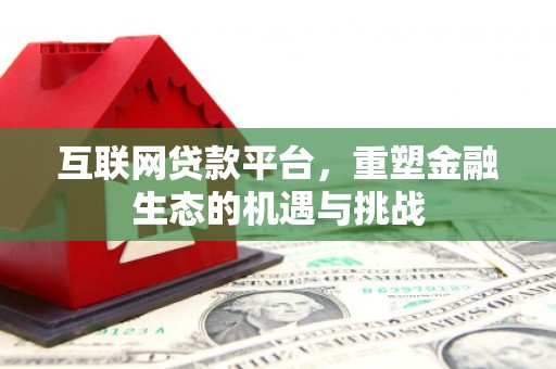 南湖互联网贷款平台，重塑金融生态的机遇与挑战