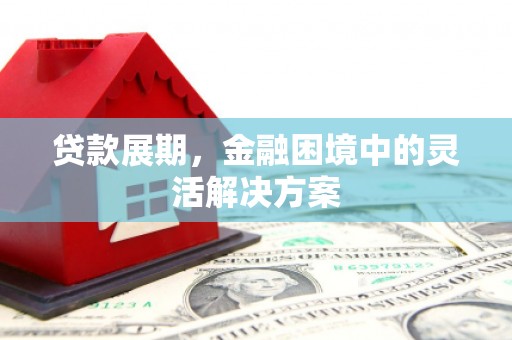 南湖贷款展期，金融困境中的灵活解决方案