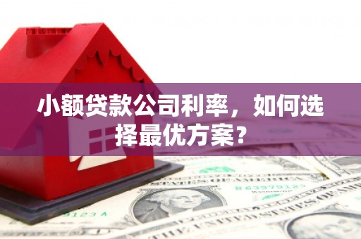 南湖小额贷款公司利率，如何选择最优方案？