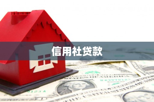 南湖信用社贷款