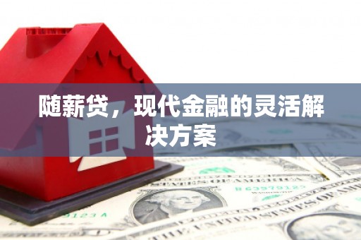 南湖随薪贷，现代金融的灵活解决方案