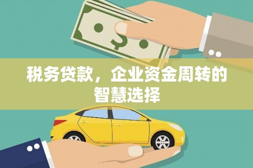 南湖税务贷款，企业资金周转的智慧选择