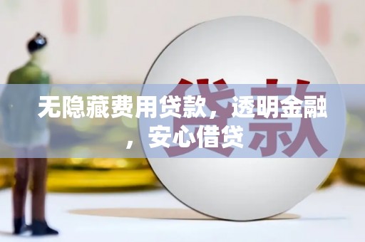 南湖无隐藏费用贷款，透明金融，安心借贷