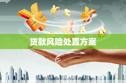 南湖贷款风险处置方案