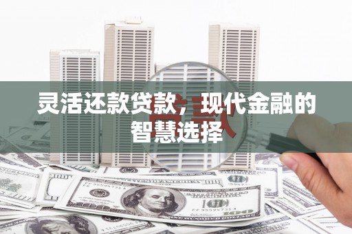 南湖灵活还款贷款，现代金融的智慧选择