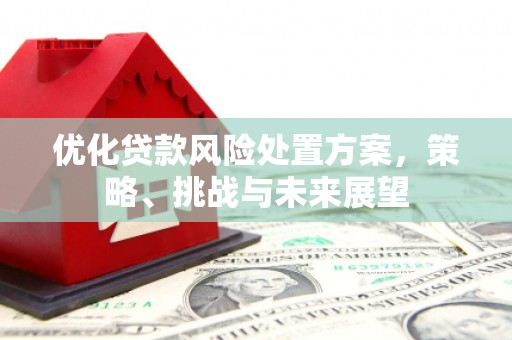 南湖优化贷款风险处置方案，策略、挑战与未来展望