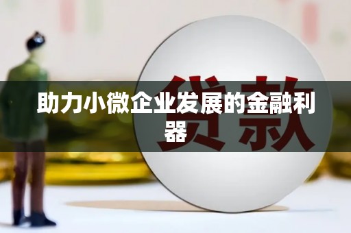 南湖助力小微企业发展的金融利器