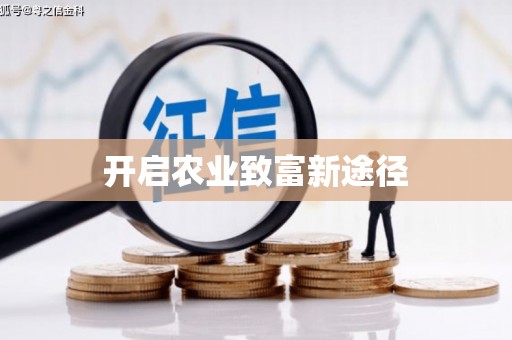 南湖开启农业致富新途径