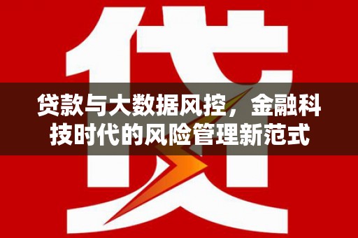 南湖贷款与大数据风控，金融科技时代的风险管理新范式