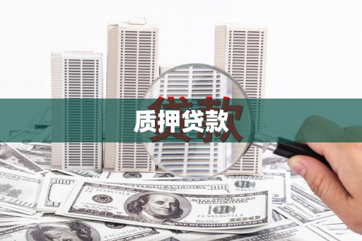 南湖质押贷款