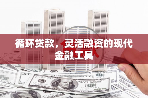南湖循环贷款，灵活融资的现代金融工具