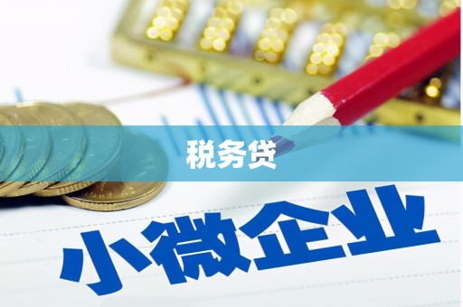 南湖税务贷