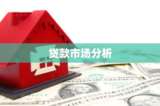 南湖贷款市场分析