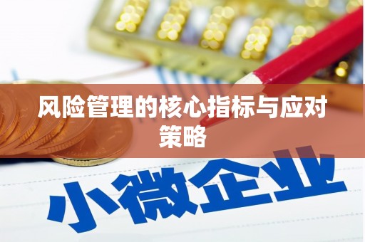 南湖风险管理的核心指标与应对策略