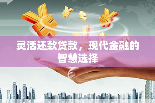 南湖灵活还款贷款，现代金融的智慧选择