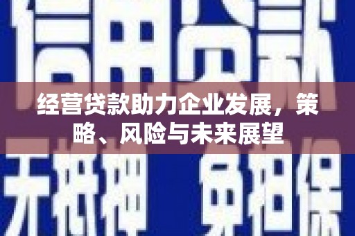 南湖经营贷款助力企业发展，策略、风险与未来展望
