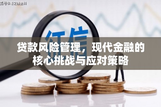 南湖贷款风险管理，现代金融的核心挑战与应对策略
