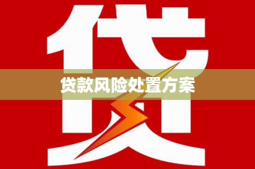 南湖贷款风险处置方案