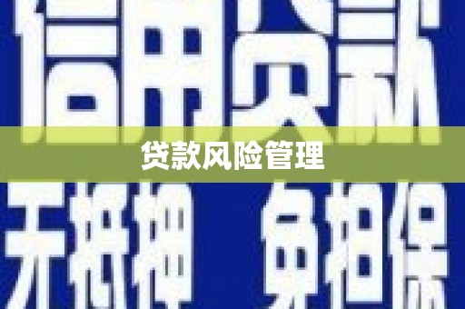 南湖贷款风险管理