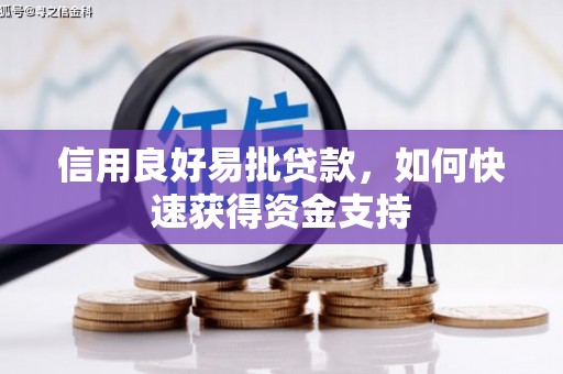 南湖信用良好易批贷款，如何快速获得资金支持