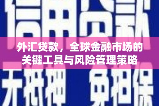 南湖外汇贷款，全球金融市场的关键工具与风险管理策略