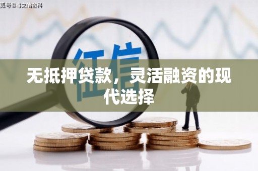 南湖无抵押贷款，灵活融资的现代选择