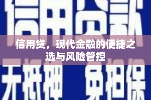南湖信用贷，现代金融的便捷之选与风险管控
