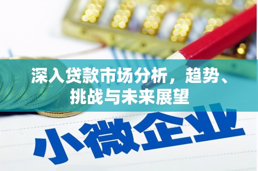 南湖深入贷款市场分析，趋势、挑战与未来展望